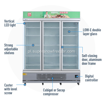 Komercyjne chłodzenie wentylatora pionowe szklane zamrażarka drzwi